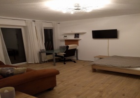 1 Bedrooms, Apartment, For Rent, Weinberg Str, 1 Bathrooms, Listing ID 1000, Eltville-Hattenheim, Germany, 65347,